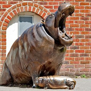 Hippo Sculpture
