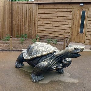 Turtle Statue