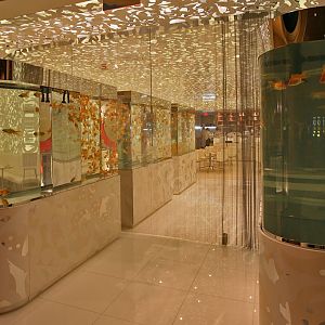 Fish Tank Caesars Palace Hotel and Casino