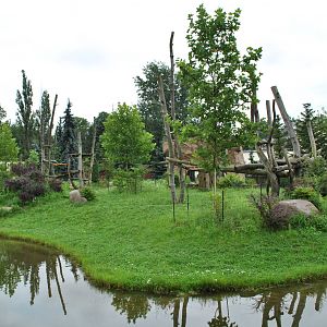 Gorillas exhibit