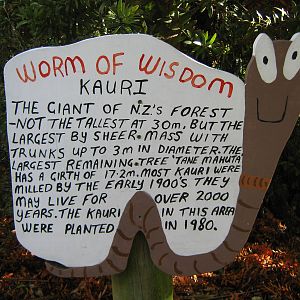 Worm Of Wisdom