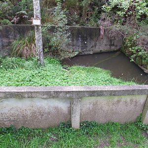 Red-Eared Terrapin Pond - Ti Point Reptile Park 2011