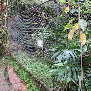 Red-Eared Terrapin Exhibit - Ti Point Reptile Park 2011