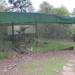 Yellow-Footed Tortoise Exhibit - Ti Point Reptile Park 2011