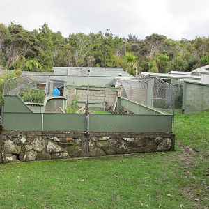 Reptile House - Ti Point Reptile Park 2011
