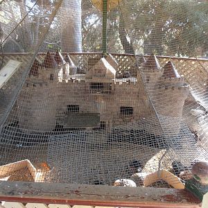 Guinea Pig Castle