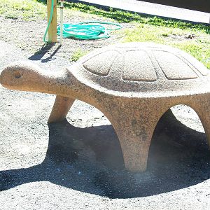 Turtle Statue