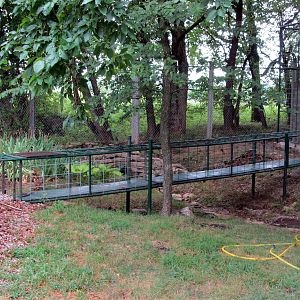 Part of Mountain Lion Exhibit