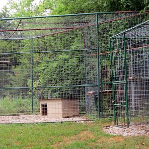 Mountain Lion Exhibit