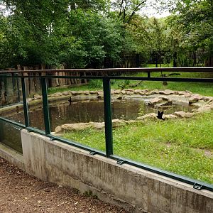 Beever exhibit at Dessau