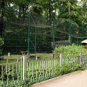 Jaguar exhibit at Dessau