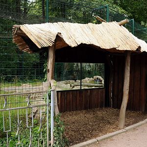 Jaguar exhibit at Dessau