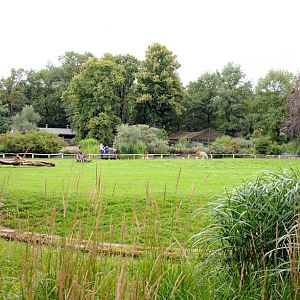 Southamerica exhibit at Dessau