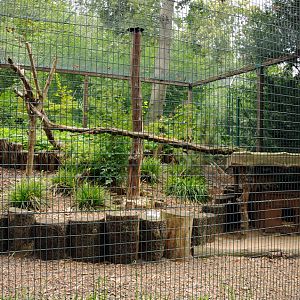 Wildcat exhibit at Dessau