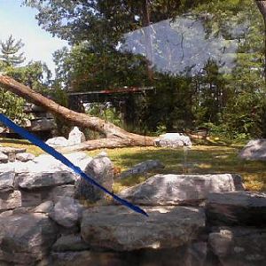 Alomost Finished Cougar exhibit