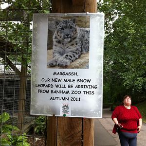 New Snow Leopard - 01/08/11