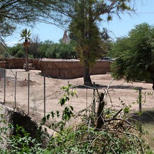 future hoofstock addition?