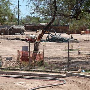 elephant construction