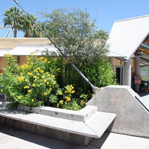planter and gift shop