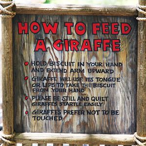 giraffe feeding sign