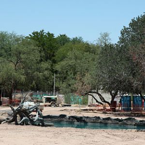 elephant construction