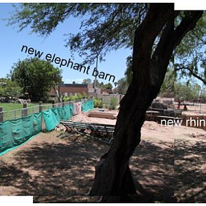 rhino/elephant construction