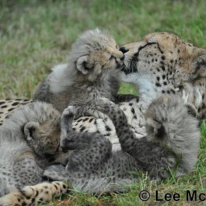 A Happy Family 1st August 2011