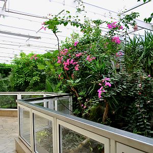 Croco House - internal exposure