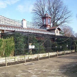 Aviaries and Small Monkeys