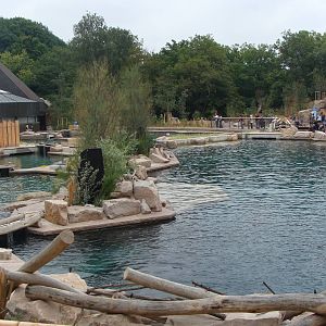 Dolphin Lagoon