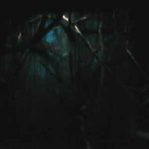 Jungle Trails- Tropical Asian Animals- Slender-tailed Cloud Rat exhibit