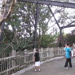 Spaulding Lorikeet Landing