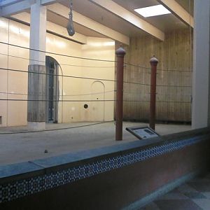 Elephant Reserve- Indoor Indian Elephant exhibit