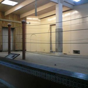 Elephant Reserve- Indoor Indian Elephant exhibit