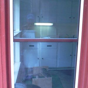 Childrens Zoo- Part of the Tawny Frogmouth area