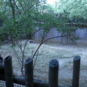 Wildlife Canyon- Emu yard 1