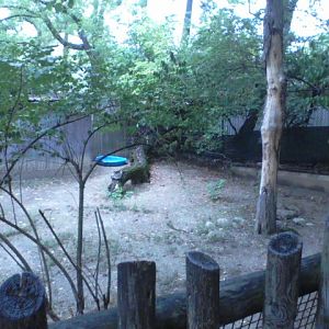 Wildlife Canyon- Emu yard 2