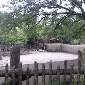 Rhino Reserve- Okapi yard