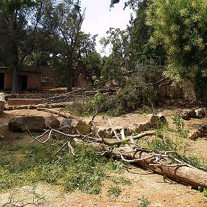 Barcelona Zoo - Deer exhibit after the storm