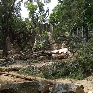 Barcelona Zoo - Deer exhibit after the storm