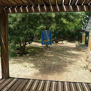 Barcelona Zoo - Future home for spotted hyenas