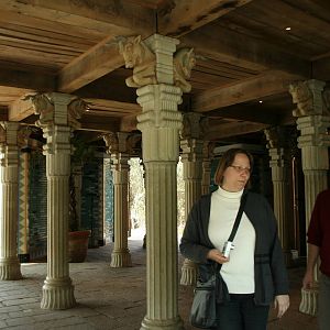 amur tiger (amersfoortzoo)