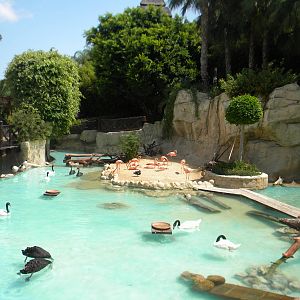 Flamingo enclosure at Mundo Mar 01/08/11