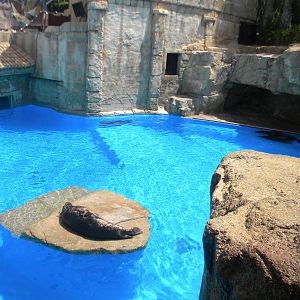 Seal and Sea Lion enclosure at Mundo Mar 01/08/11