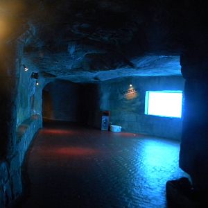 Underwater viewing at Mundo Mar 01/08/11