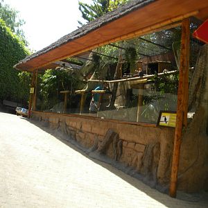 Toco Toucan enclosure at Mundo Mar 01/08/11