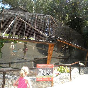 Ring-tailed Lemur enclosure at Mundo Mar 01/08/11