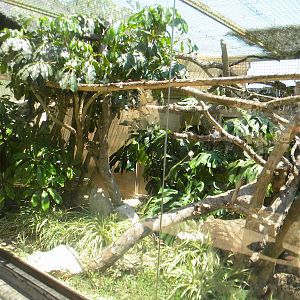 Emperor Tamarin enclosure at Terra Natura 29/07/11