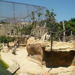 Capuchin island at Terra Natura 29/07/11