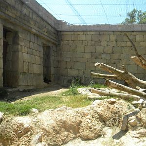 Part of the Jaguar enclosure at Terra Natura 29/07/11